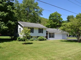 32 William St, Spencer, NY 14883