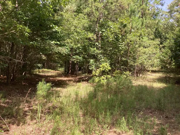 Weaver Ln #E, Grannis, AR 71944