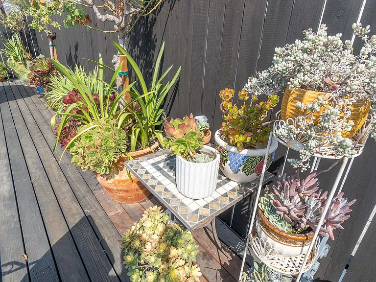 Sun Deck