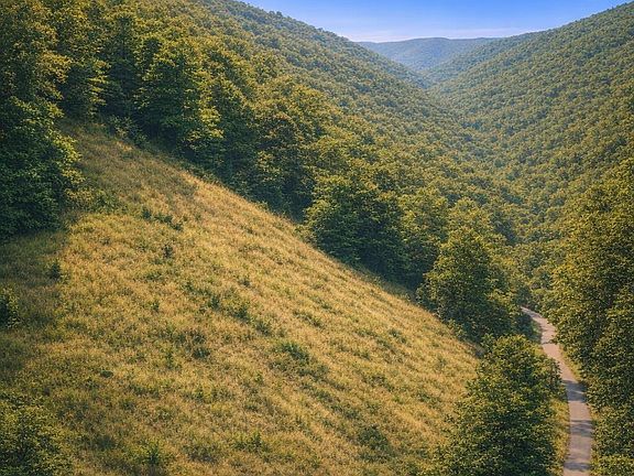 5th image of 0 Lands Creek Rd
