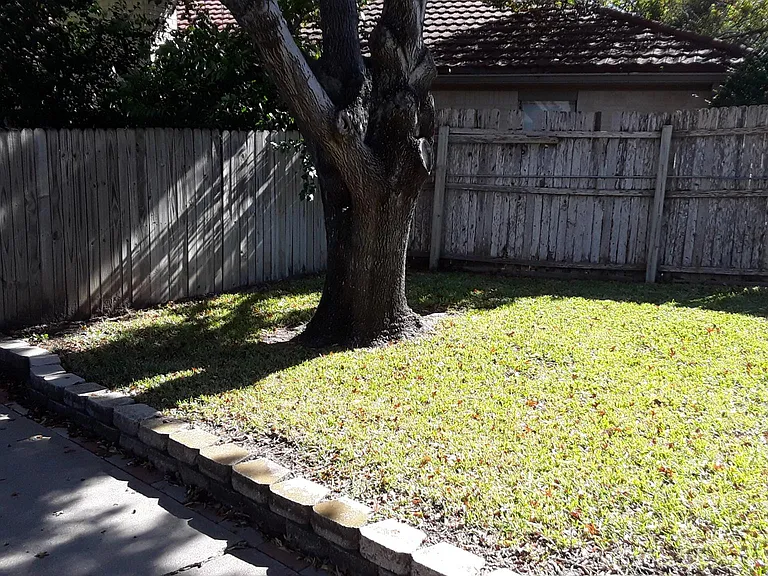Back yard