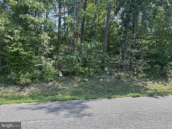 2nd image of LOT 20 Island Point Rd