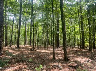 189 Lorman Ln, Madison, MS 39110