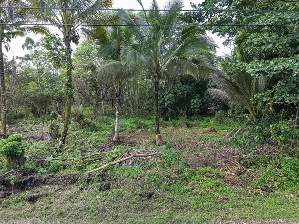 10th Ave Lot 825, Keaau, HI 96749