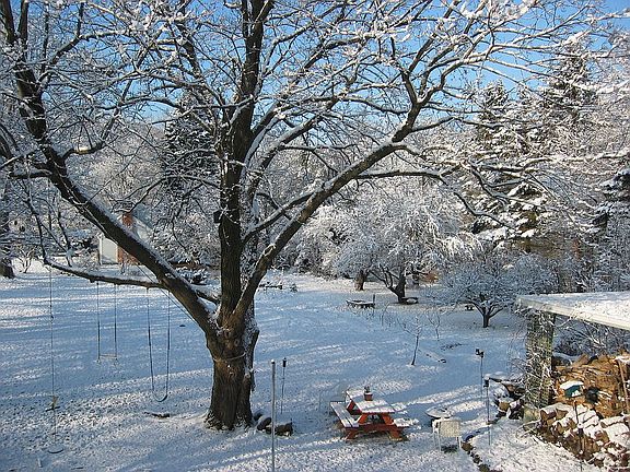 Winter view into yard from the rear covered porch