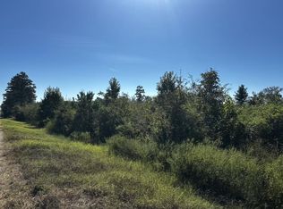 0 Ed Tolar Rd, Pansey, AL 36370