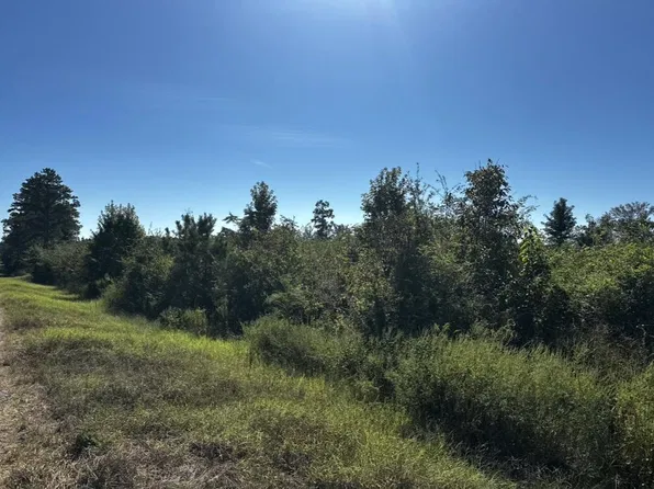 0 Ed Tolar Rd, Pansey, AL 36370