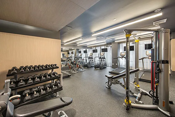 Rented by MNS | media 12