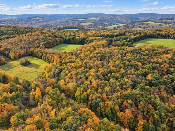 Bittinger Rd, Grantsville, MD 21536