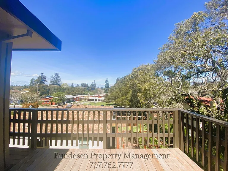 77 Sunny Hill Dr — Photo 16