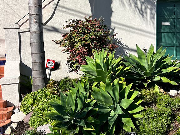 4th image of 585 Wesley Ave