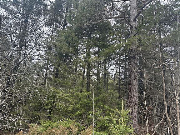 4th image of 4200 Bloom Rd