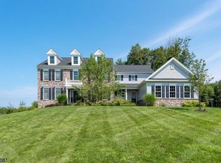 1 Stark Ct, Flanders, NJ 07836