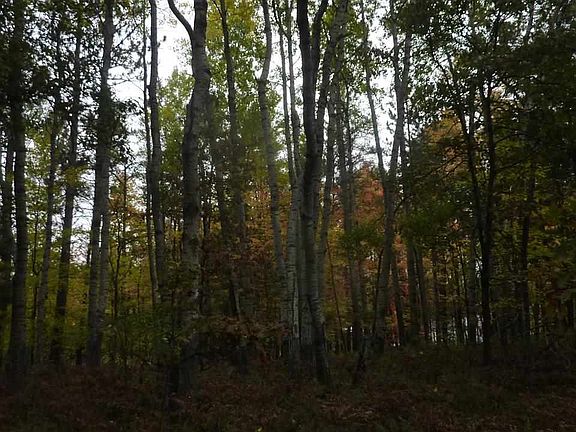 5th image of 61 M