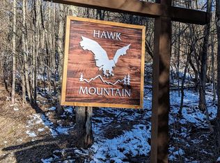 100 Hawk Trl #10, Pittsfield, VT 05762