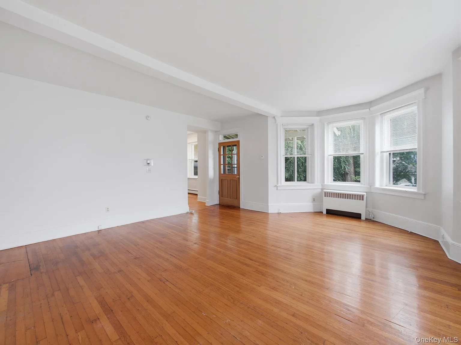 9 Cottage Avenue, Nanuet, NY 10954 — Photo 4