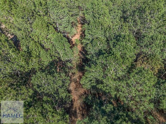 5th image of 3 Ben Giddens Rd