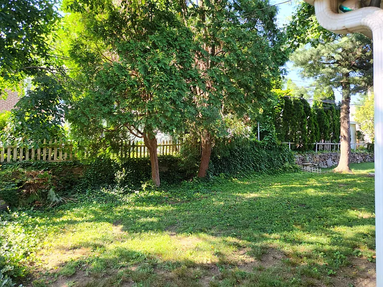 Rear yard