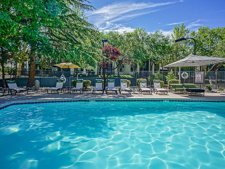 Sparkling Swimming Pool