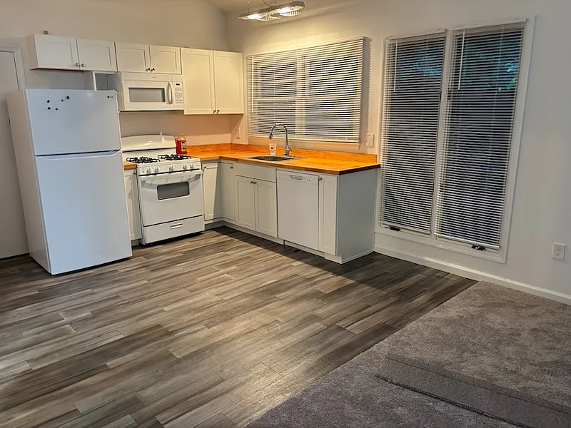 1 bed, 875 sqft, $1,200 — Photo 3