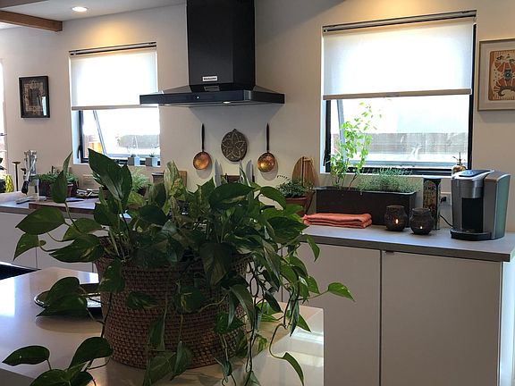 Kitchen on sunny south side of the house