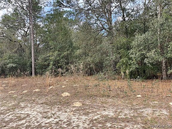 2nd image of 8912 N Mendoza Way