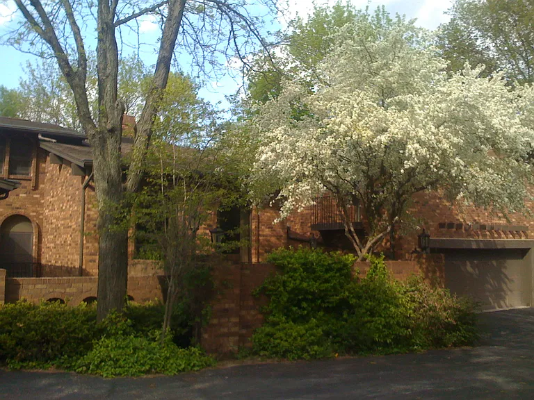 15240 Marilyn Dr — Photo 12