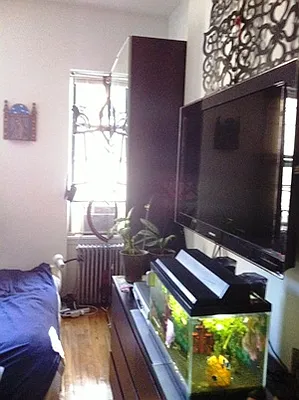 Rented by Citi Habitats | media 23