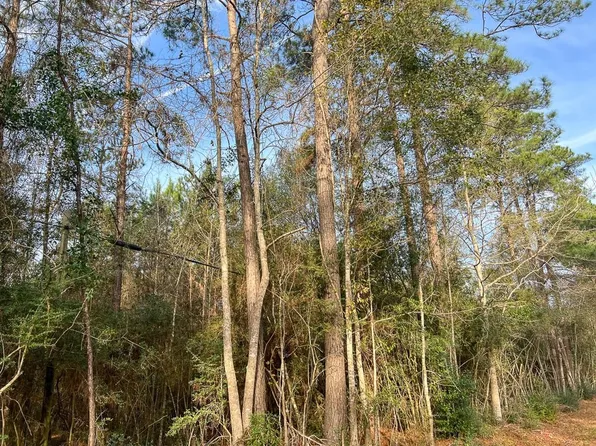 Tall Cotton Rd, Saratoga, TX 77585