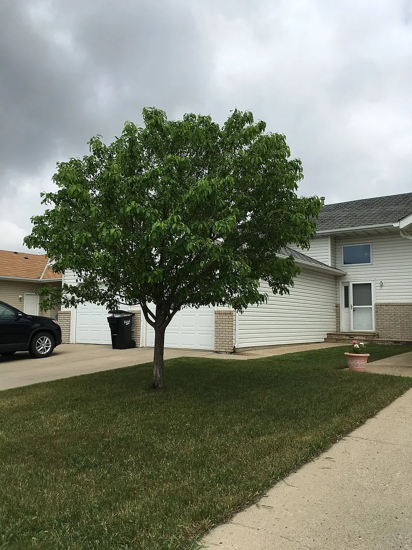 3 bedroom 2 bathroom Twinhome for rent! — Photo 1
