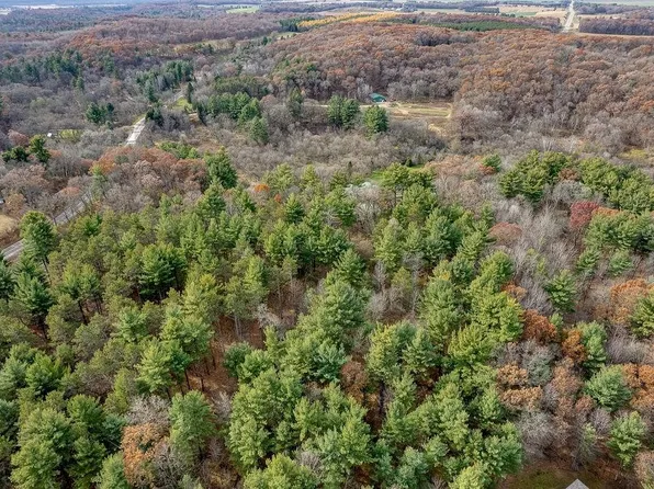 20.28 acres County Road C, Elk Mound, WI 54739