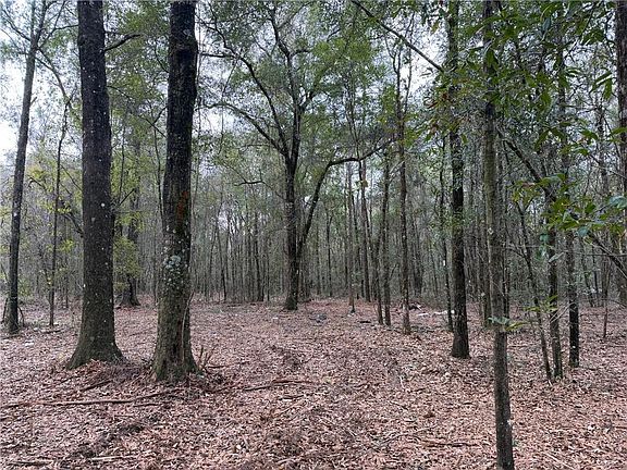 4th image of 0 Danner Rd #5