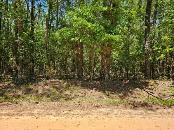 0 Woodland Dr, Daleville, AL 36322