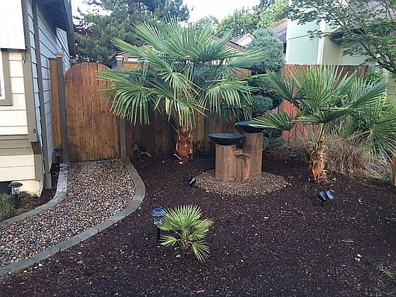 Water Feature