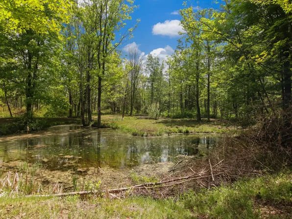 10113 Ziehm Rd, Bear Lake, MI 49614