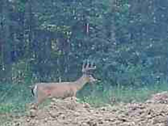 3rd image of State Route 222 Lot Wp001