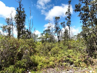 36th Ave Lot 33, Keaau, HI, 96749