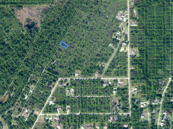 1417 Rutledge Ave, Lake Placid, FL 33852