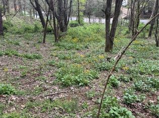 Birchfield Creek Rd, Newland, NC 28657
