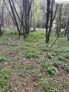 TBD Birchfield Creek, Newland, NC, 28657
