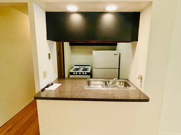Okonski Briar 535, 535 W Briar Pl APT 450, Chicago, IL 60657