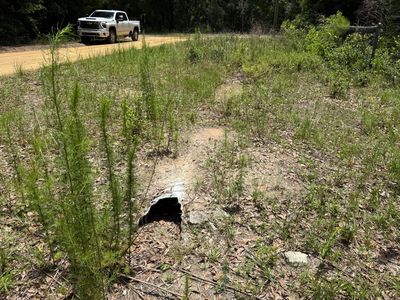 101 Joel Avenue, Interlachen, FL, 32148