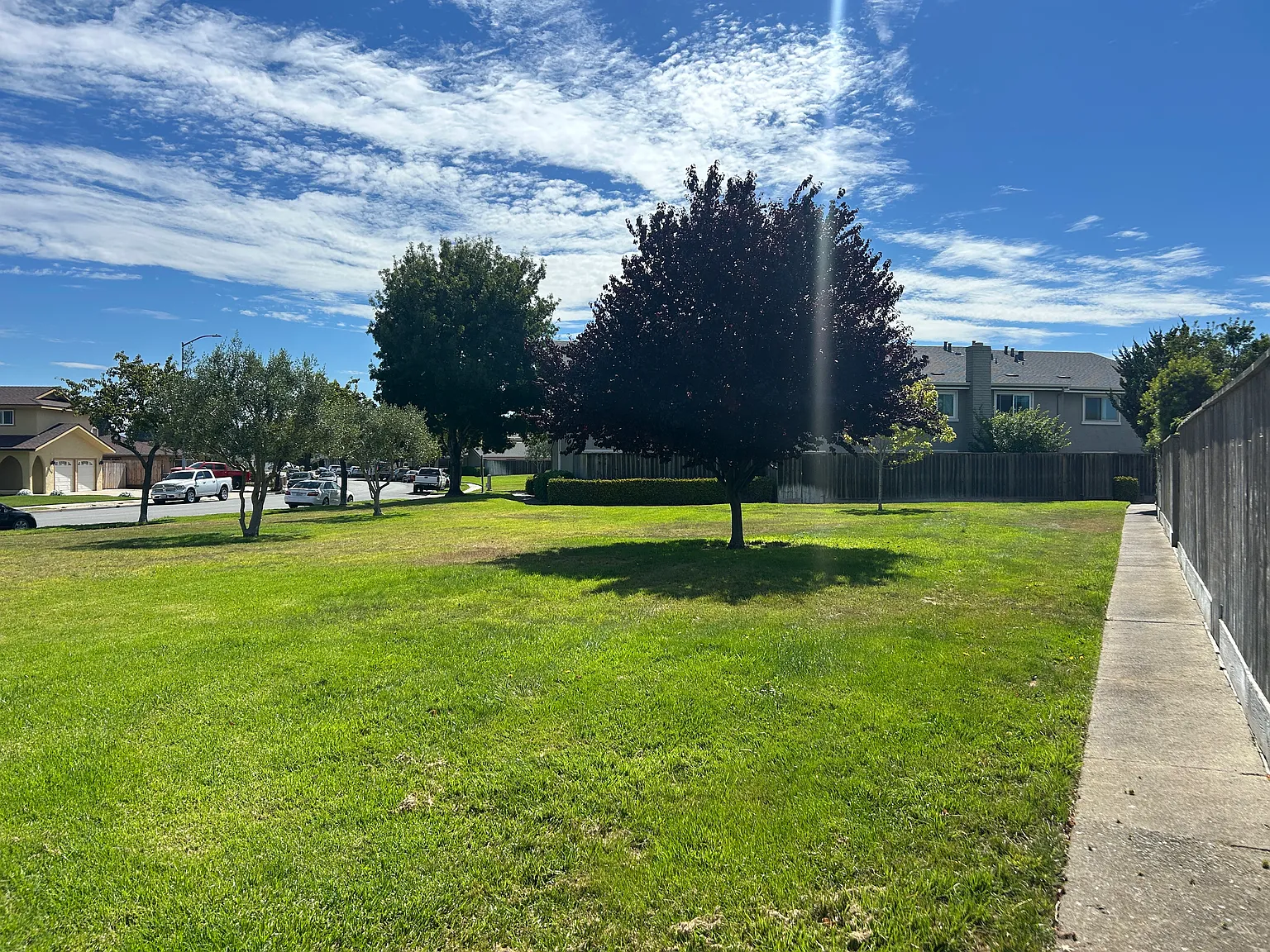 3 bed, 1.5 bath, 1536 sqft, $3,650 — Photo 4