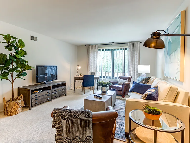 1 Bedroom Living Room
