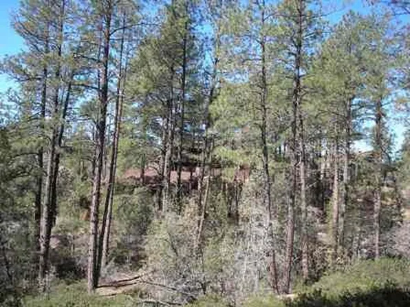 2420 E Scarlet Bugler Cir, Payson, AZ 85541