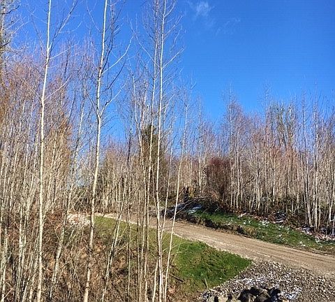 2nd image of 9919 93rd Ln SE