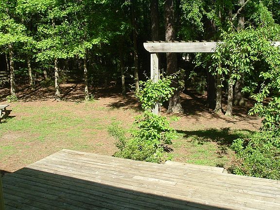view from back door, fenced in yard, 1/2 acre lot, some gras