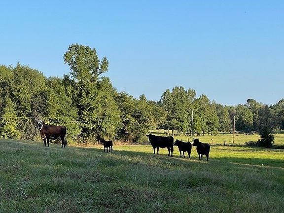 4th image of 2029 County Road 4104