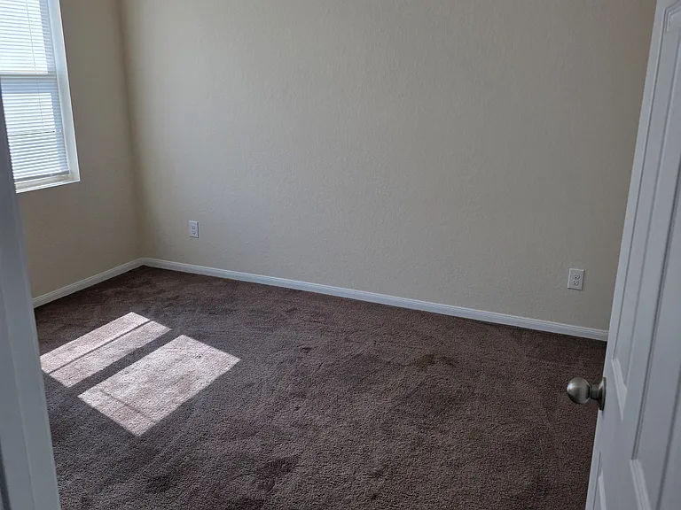 11643 Green Coral Dr — Photo 6