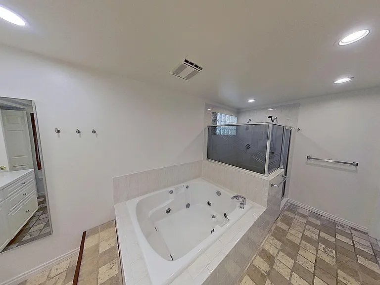 Master Bathroom jacuzzi tub and separate walk-in shower